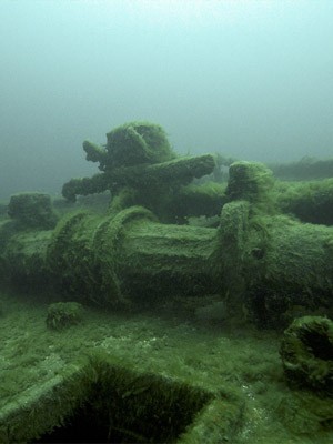 Shipwreck Maitland